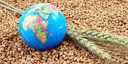 غوغای ال&zwnj;نینو در کدام کالا&zwnj;های کشاورزی است؟