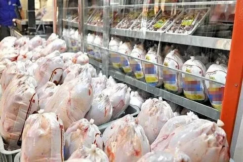 انتظار برای کاهش قیمت مرغ در بازار