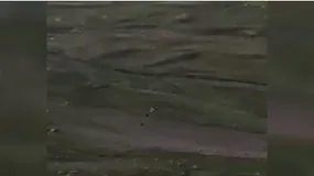لحظه هولناک سقوط پاراگلایدر در کلاردشت