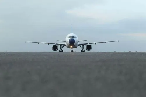 خور تیاب زیستگاه پرندگان مهاجر