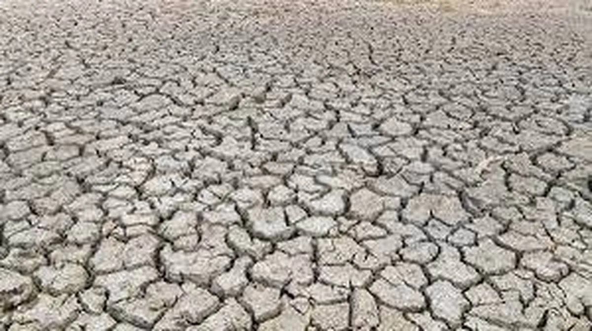 بدترین شرایط خشکسالی خراسان رضوی  در ۵۰ سال گذشته