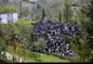 جشنی مخصوص مردگان!