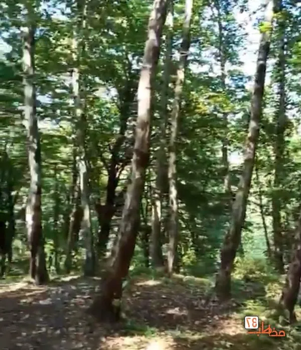 روستای جنگلی اربکله رامسر، عکاسی گردشگری
