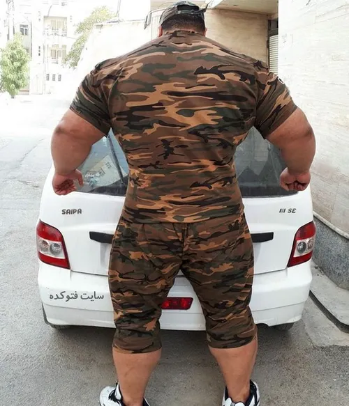 درآمد هالک ایرانی از شوی مسایقه