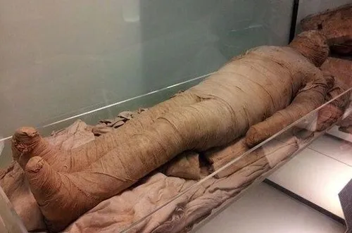 جسد مومیایی‌شده سخن گفت