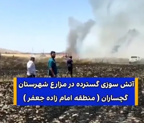 آتش سوزی گسترده در مزارع گندم گچساران