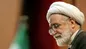 حصر مهدی کروبی رفع شد