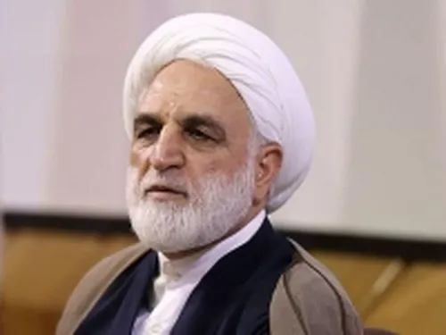 اژه&zwnj;ای: تعیین مجازات نباید موجب وهن شود