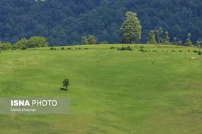 رودبار زیبایی بی پایان در گیلان