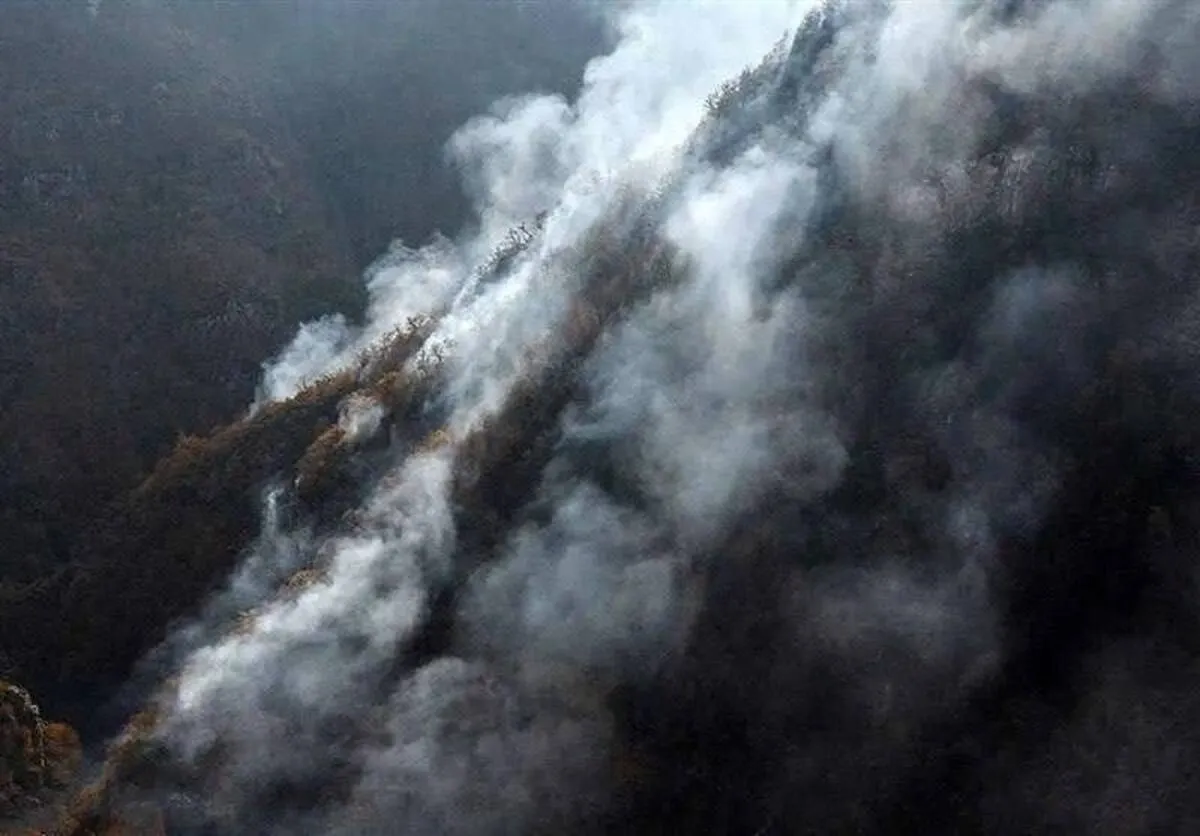 استاندار مازندران: آتش‌سوزی جنگل‌های الیت مهار شد