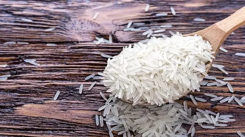 ریسمان بازار برنج در دست چند شرکت انحصاری+فیلم
