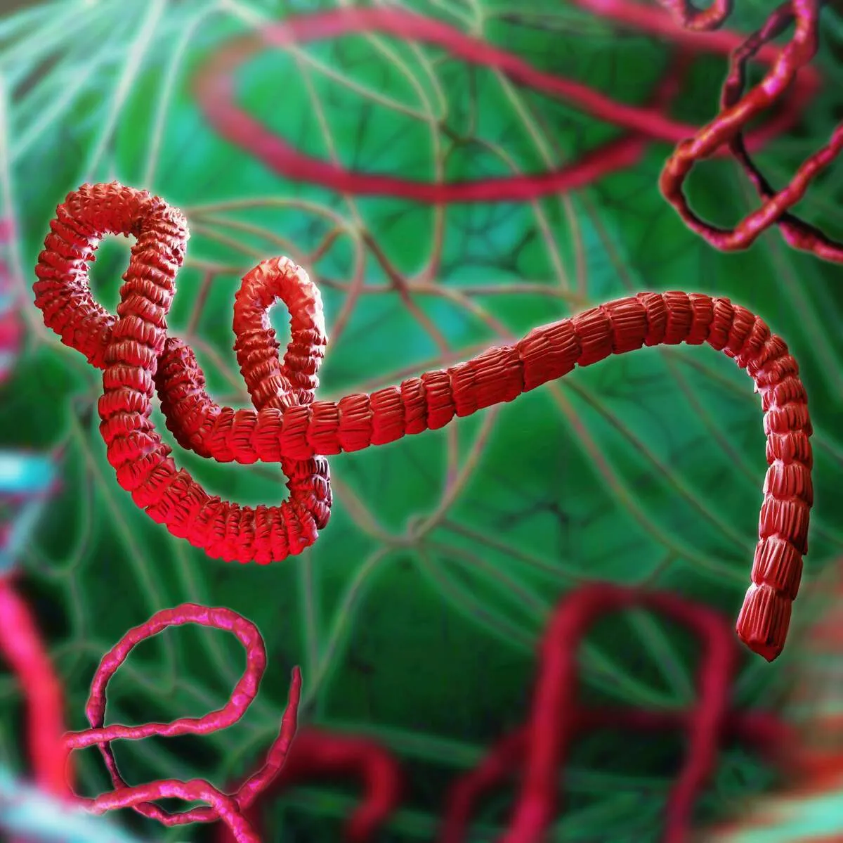 چین ویروس خطرناک‌تر از کرونا ساخت!