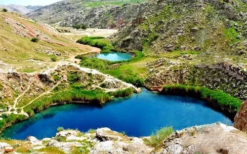 تصاویر؛ قو‌های آوازخوان در سرخرود مازندران