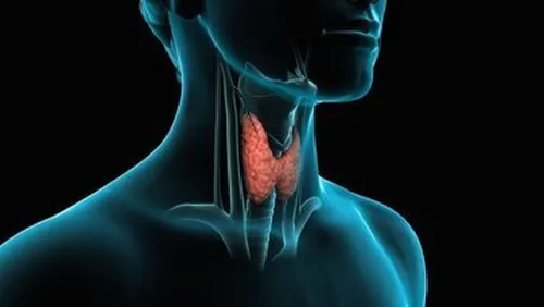 اختلالات تیروئیدی در زنان ۸ الی ۱۰ برابر بیشتر از مردان