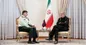 دیدار سردار رادان با رئیس‌جمهور منتخب