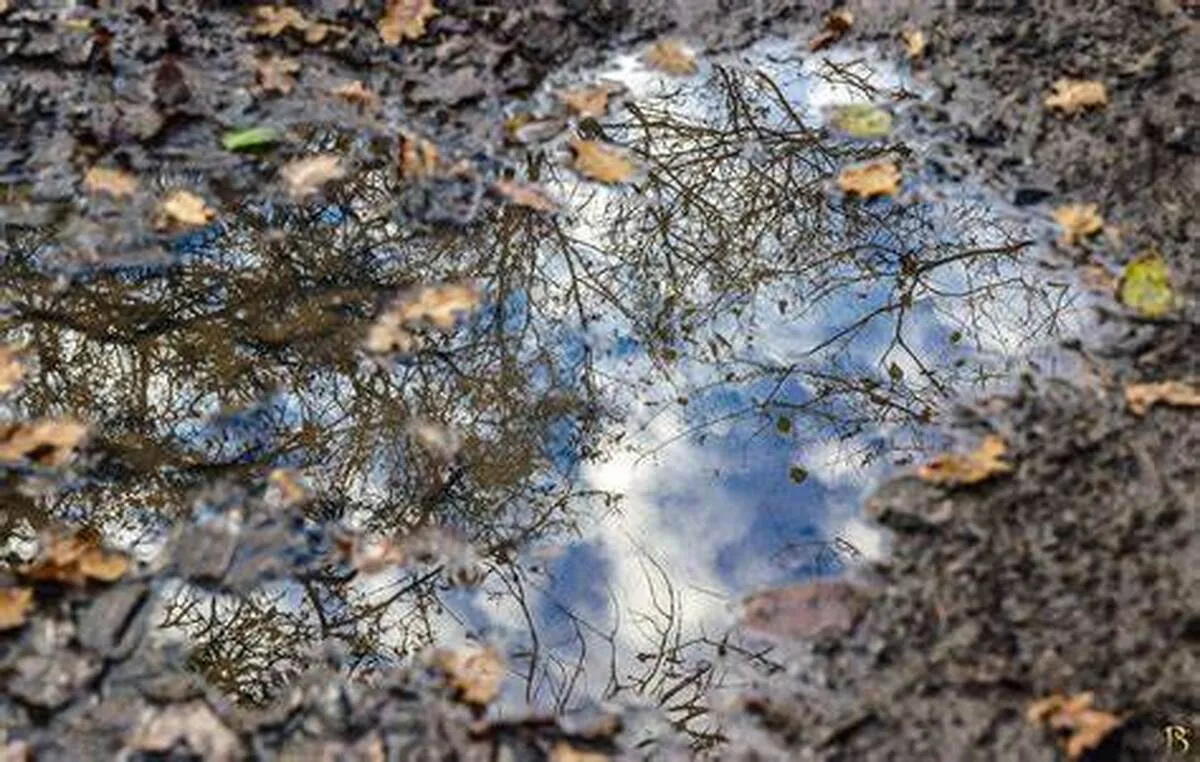 برنامه‌های سازمان منابع طبیعی برای «ال نینو» در حال تدوین است