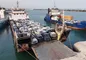برای واردات خودرو همکاری‌های خوبی با بانک مرکزی انجام شده است