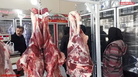 شقه گوسفندی نیم میلیون را رد کرد!