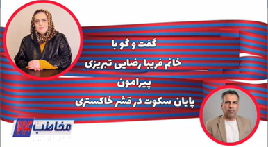 پایان سکوت در قشر خاکستری