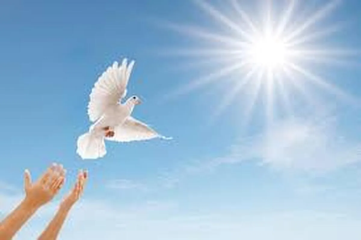 قضاوت کردن یا انتقام گرفتن، کدام لذت‌بخش‌تر است؟