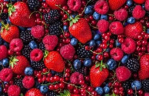 صداقت دوست داشتنی رییس جمهور را ببینید و بشنوید