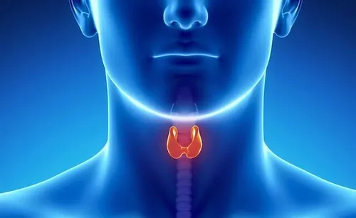 علائم خطرناک کم&zwnj;کاری تیروئید برای کودکان و بزرگسالان