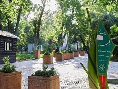 درخت قطع می&zwnj;کنند تا مسجد بسازند؟