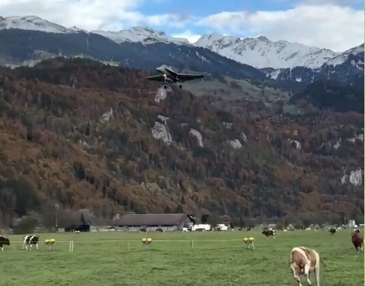 فرود جنگنده اف-۱۸ در گاوداری+ فیلم