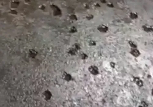 قدرت ساچمه&zwnj;های بمب&zwnj;های کرمان+ فیلم