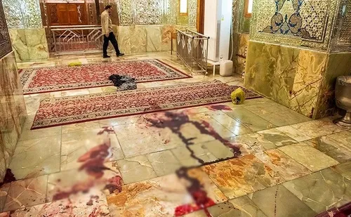 ویدیویی دیدنی از یک پلیس ایرانی در کوچه