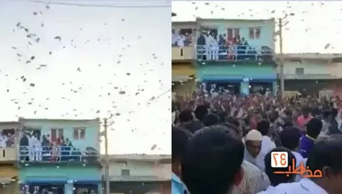 وحشت مرد تایلندی با دیدن مار شاه کبرای ۵ متری در داخل خانه+ فیلم