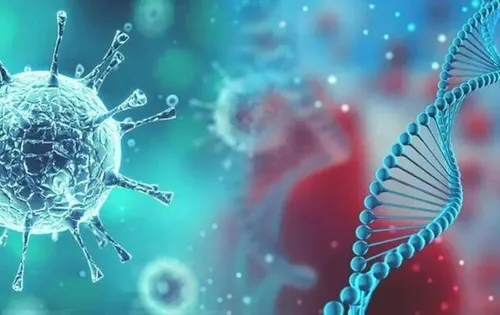 کویید ۱۹ آزمایشگاهی بود