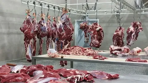عرضه گوشت گوسفندی با قیمت جدید در تهران