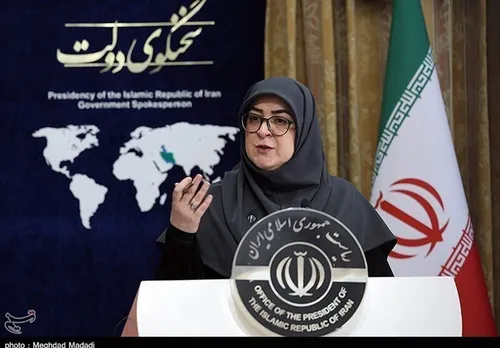 مهاجرانی: تعلیق ارتباط با آژانس اتمی حق ماست