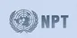 NPT چیست؟