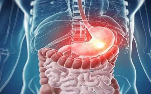 اطلس؛ رباتی پیچیده‌تر از خودرو!