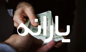 فوری / مجلس یارانه نقدی سال ۱۴۰۳ را حذف می‌کند+ فیلم