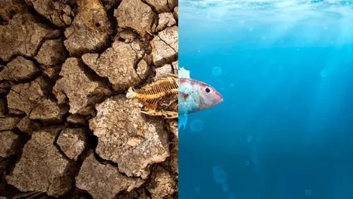 لانینا به ایران می&zwnj;آید؟