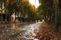 پیش بینی هواشناسی امروز و روزهای آینده