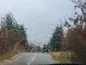 استان کردستان رکورددار بارش در کشور شد