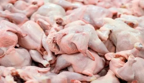 بعد از گران شدن گوشت قرمز منتظر نایاب شدن مرغ باشیم؟