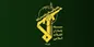 بیانیه سپاه به مناسبت سالگرد ارتحال امام