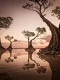 ۲۰ برنده عکاسی از طبیعت در سال ۲۰۲۲ در مسابقه عکاسی