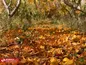پاییز در شهریار