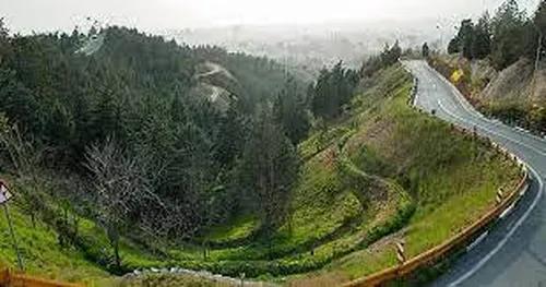 چرخ&zwnj;وفلک&zwnj;ها و آلاچیق&zwnj;ها به جای درختان در لویزان و هیرکانی سبز می&zwnj;شوند