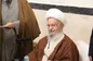 آیت‌الله مکارم شیرازی: حضور پای صندوق‌ها حل مشکلات کشور را آسان می‌کند