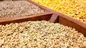 تخصیص ارز کالاهای اساسی به چه محصولاتی می رسد؟