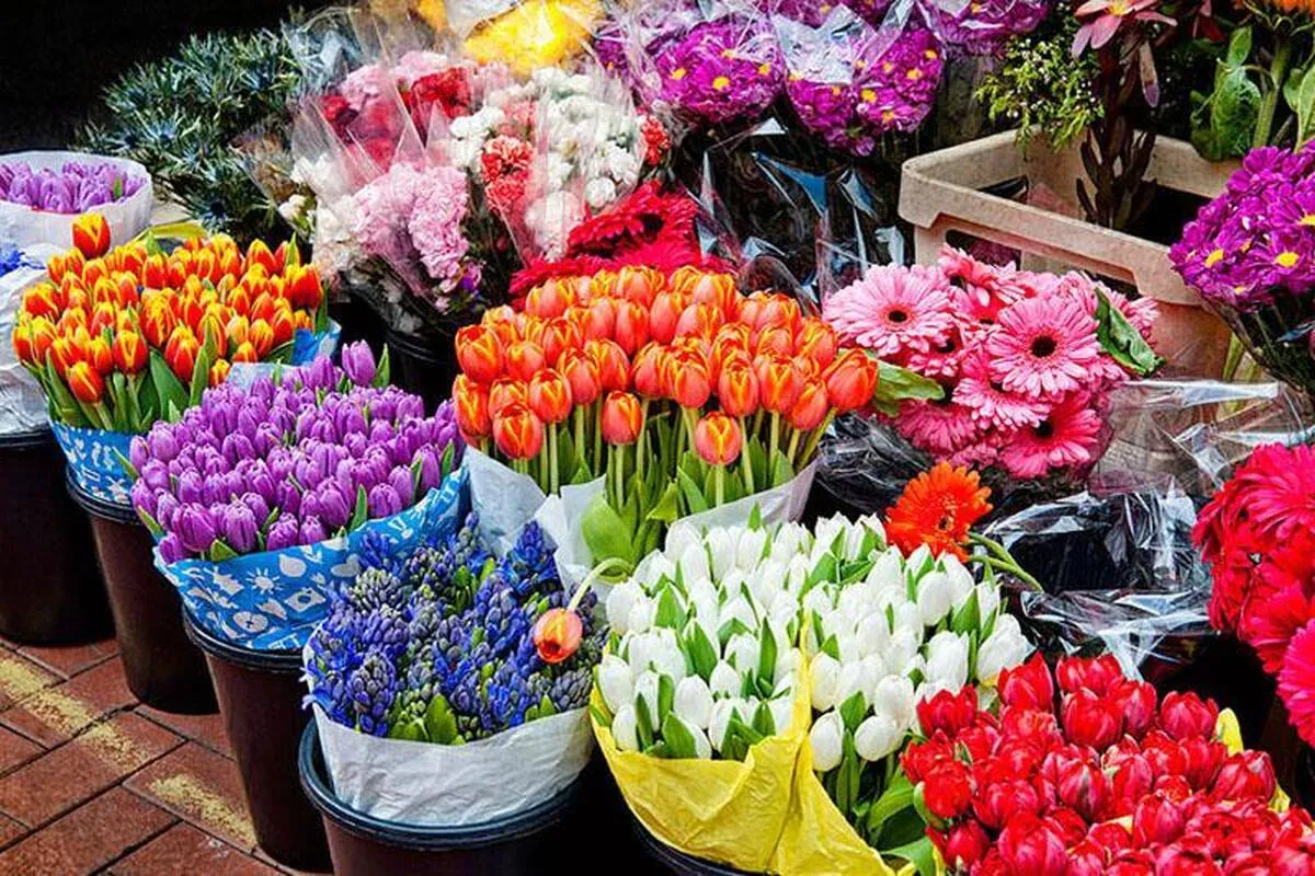 گل ها سفیران سرزمینی