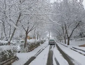 بارش اولین برف پاییزی در شهرستان اهر