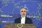 کنعانی: تحریم خمیر مایه اصلی حقوق بشر آمریکایی است